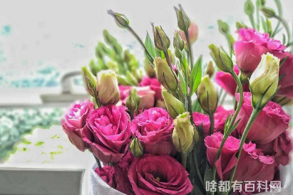 网上买的鲜花为什么养不活2